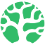 bonsai.io